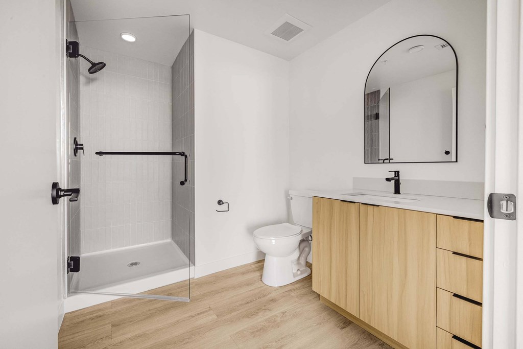 A modern bathroom with a walk-in shower, toilet, and a sink.