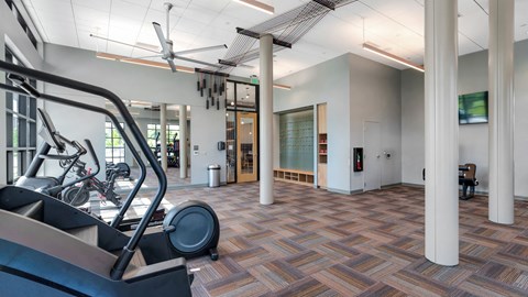A gym with treadmills and exercise equipment.