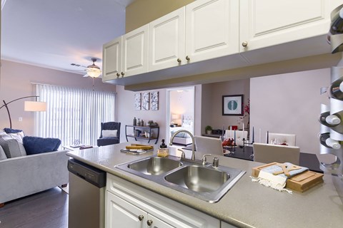 A kitchen with a sink and a counter.
