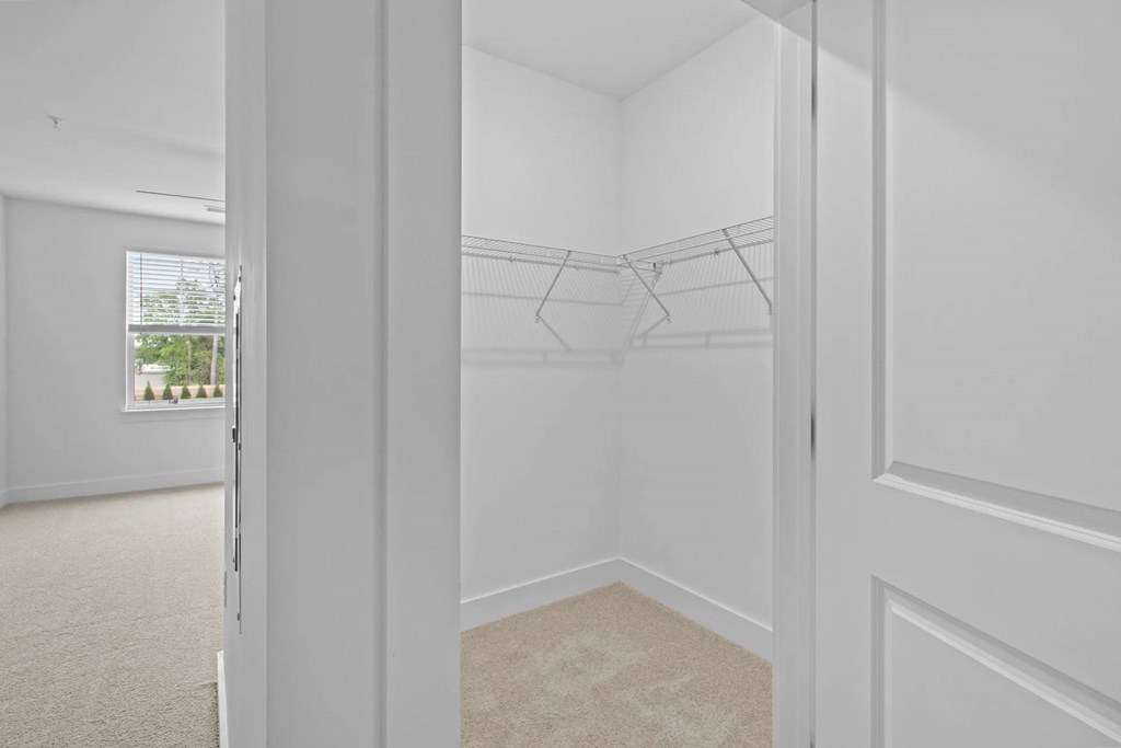 A white closet with a carpeted floor and a window.