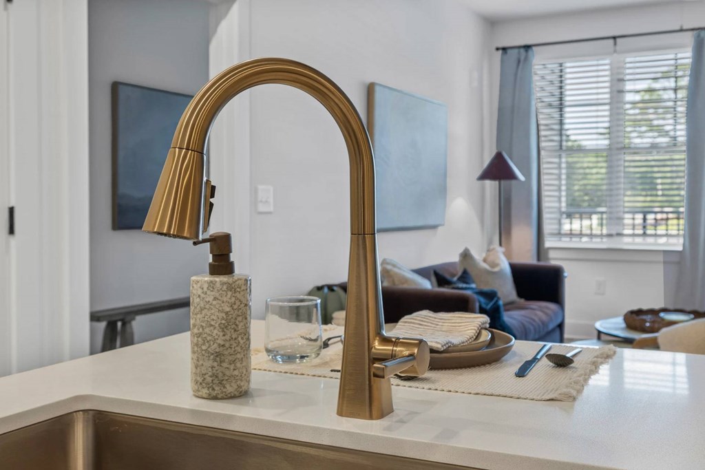 A kitchen sink with a gold faucet