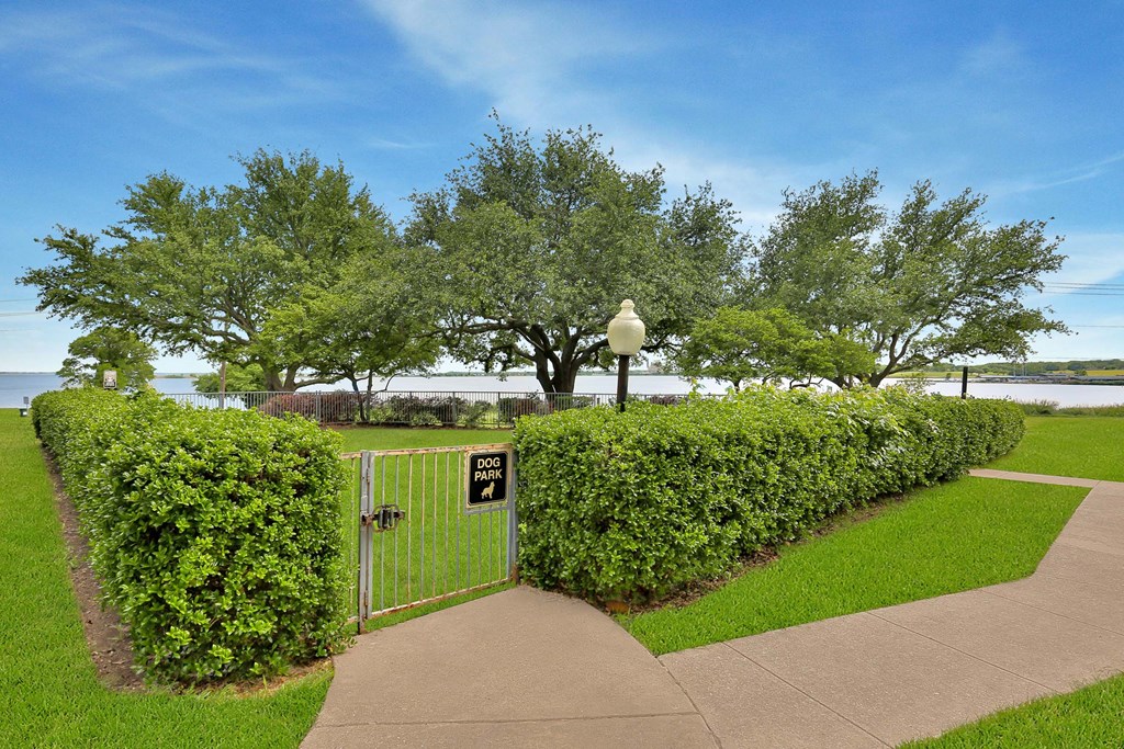 A green hedge surrounds a gate with a sign that says Dog Park.