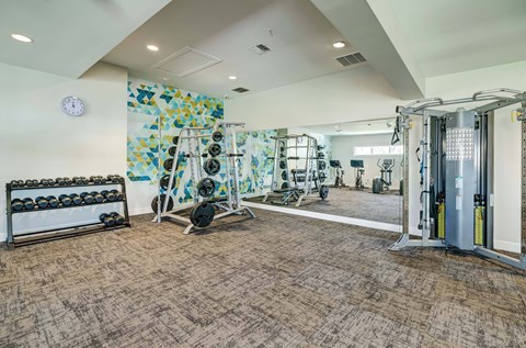 A gym with a variety of equipment including weights and a squat rack.