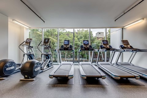 A gym with treadmills, elliptical machines, and exercise balls.