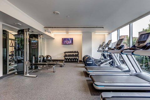 A gym with treadmills, weights, and exercise equipment.
