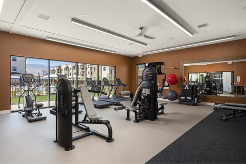 A gym with a variety of equipment including a treadmill, weights, and a bench press.