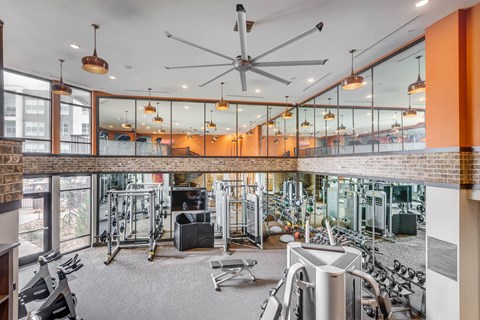 A gym with a variety of equipment including treadmills, weights, and a bench press.