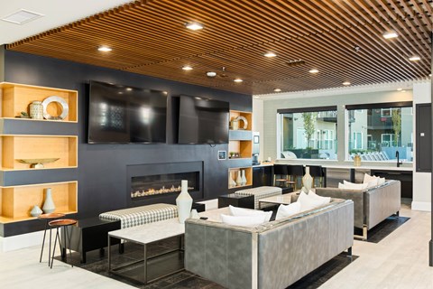 Modern apartments in Denver lounge room with a fireplace and a large grey sofa at Canvas on Blake.