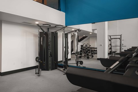 A gym with a row of treadmills and a mirrored wall.