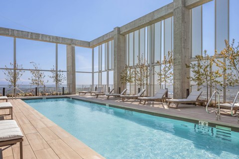 Rooftop Pool