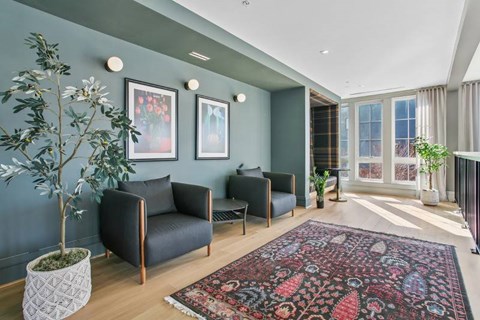 A living room with a grey couch and a red patterned rug.