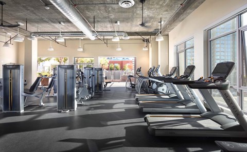 A gym with treadmills, exercise bikes, and other equipment.