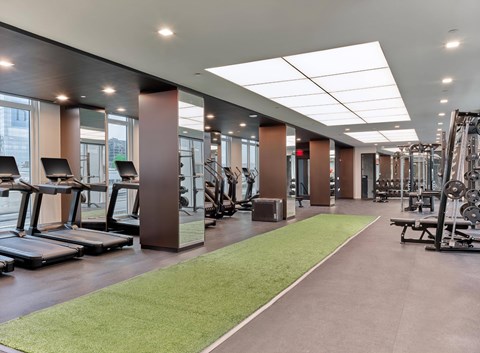 A gym with treadmills, weights, and a green carpet.