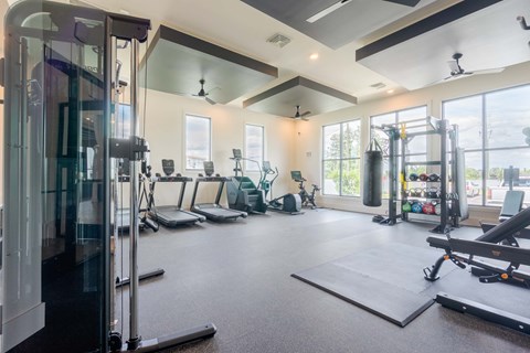 A spacious gym with a variety of equipment including treadmills, weights, and exercise machines.