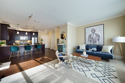 A living room with a blue couch and a rug with a geometric pattern.