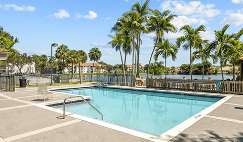 A pool surrounded by palm trees and a fence.