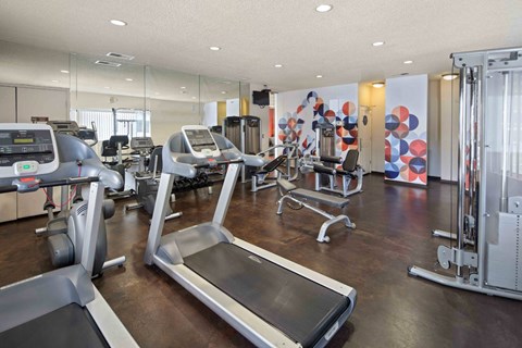 A gym with treadmills, elliptical machines, and other exercise equipment.