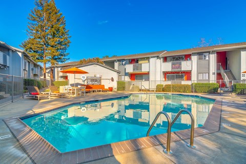 A swimming pool surrounded by a fence and a tree.