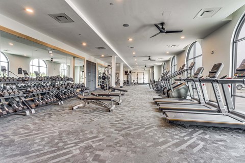 A spacious gym with treadmills, elliptical machines, and dumbbells.