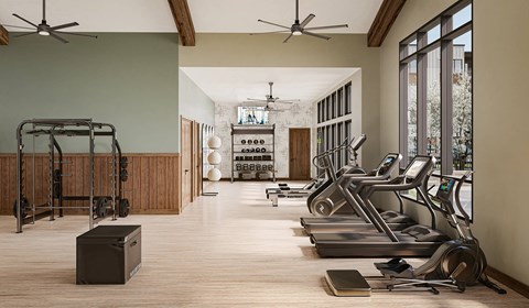 A gym with treadmills, weights, and a bench press.