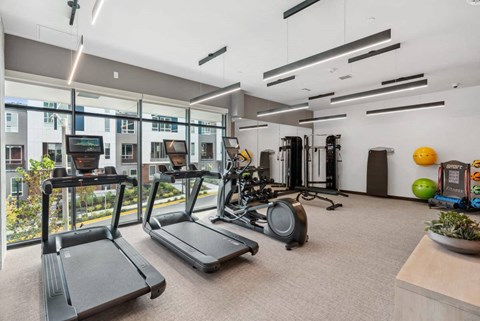 A gym with treadmills, exercise bikes, and other equipment.