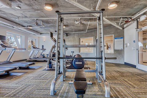 A gym with a row of treadmills and a squat rack.