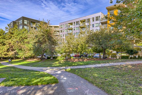 A pathway in a park leads to apartment buildings.
