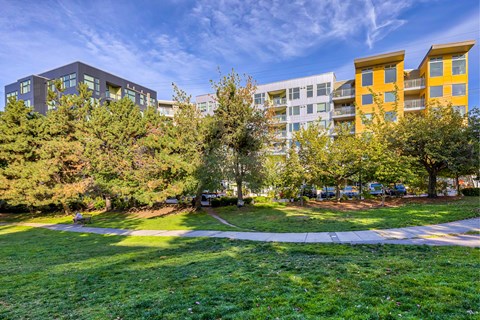 A grassy area in front of a building with trees.