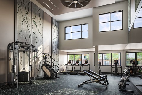 A gym with a variety of equipment including treadmills, weights, and a rowing machine.