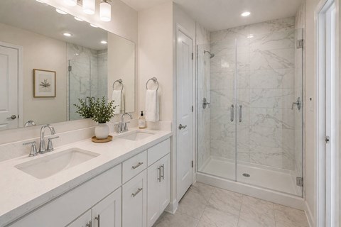 A bathroom with a marble shower and a potted plant on the counter.