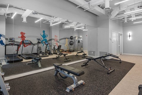 A gym with a variety of equipment including treadmills, weights, and benches.