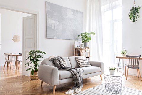 A living room with a grey couch, a potted plant, and a grey and white rug.
