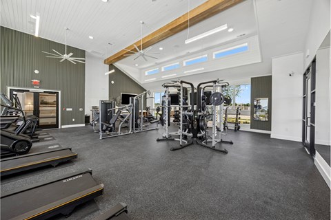 A spacious gym with treadmills, weights, and exercise equipment.