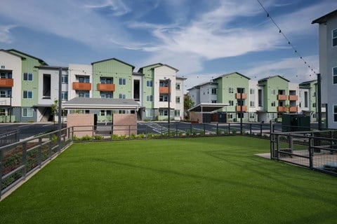A grassy area in front of apartment buildings.
