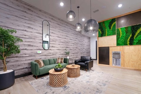 A living room with a green couch, a wooden table, and a tree in a pot.