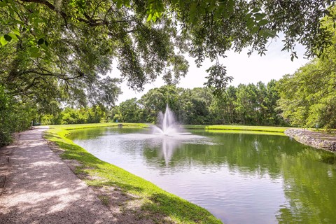 1674 Folly Road 1-3 Beds Apartment for Rent