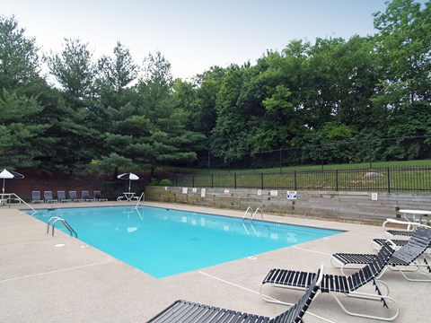 A pool surrounded by trees and chairs.