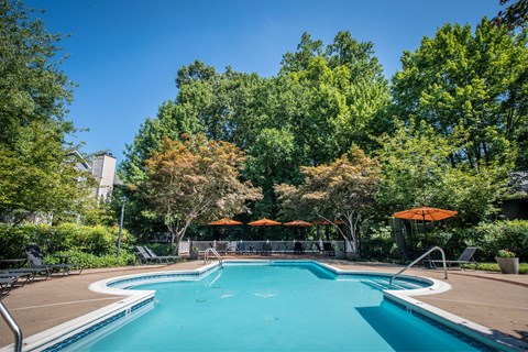 A swimming pool surrounded by trees and umbrellas.