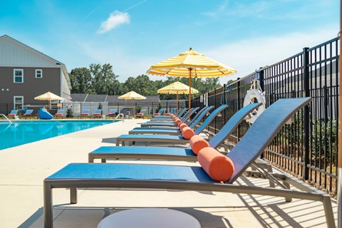 A row of sun loungers are on the edge of a pool.