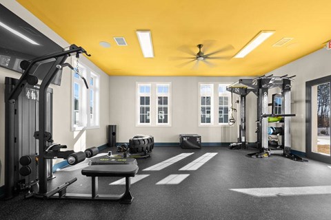 A gym with a variety of equipment including a bench, weights, and a treadmill.