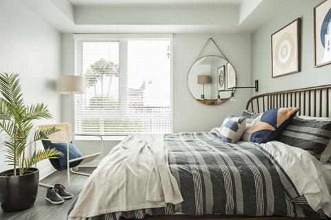 A bedroom with a bed, a potted plant, and a mirror on the wall.