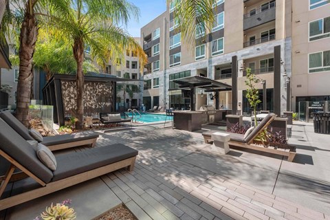 A sunny day at the poolside with palm trees and lounge chairs.