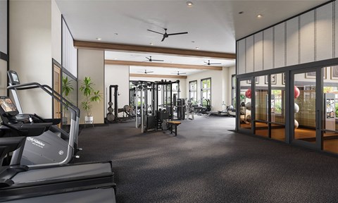 A gym with treadmills, weights, and exercise equipment.