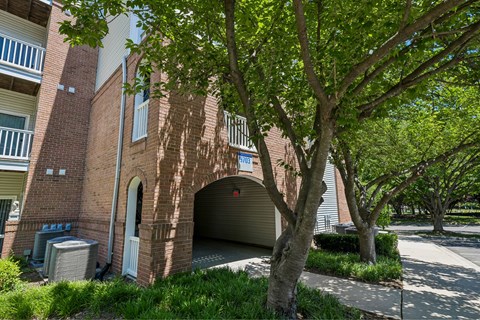 A tree in front of a brick building with a garage door.