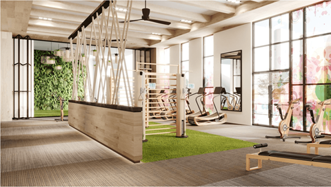 A gym with a green wall and a row of exercise bikes.