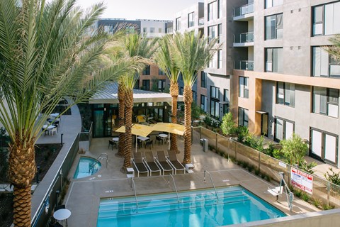 A pool surrounded by palm trees and chairs.