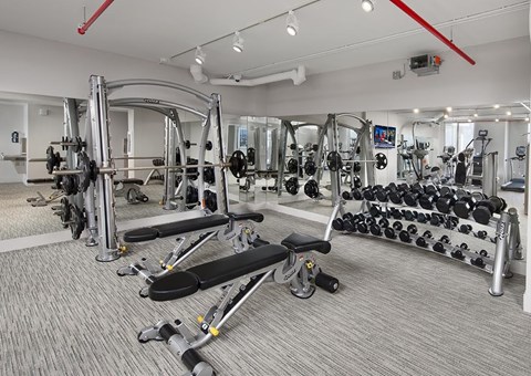 A gym with a variety of equipment including weights and weight machines.