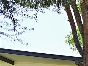 Landscaped Walkways and Complexes With Beautiful Construction at Paradise Palms, Phoenix, AZ