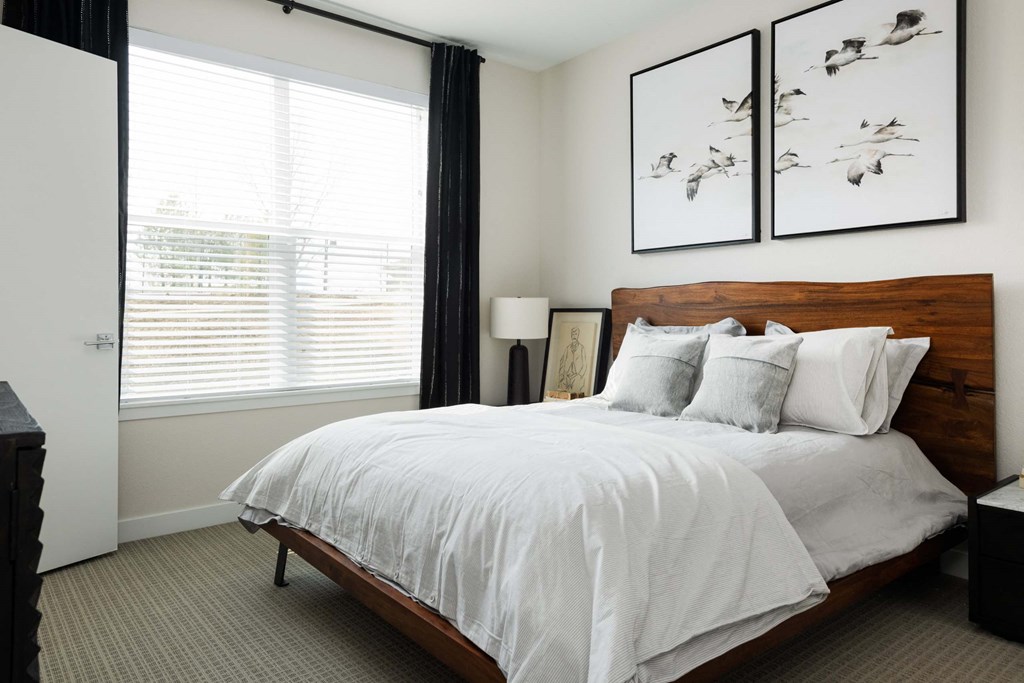 Natural Light at PARK40, Colorado