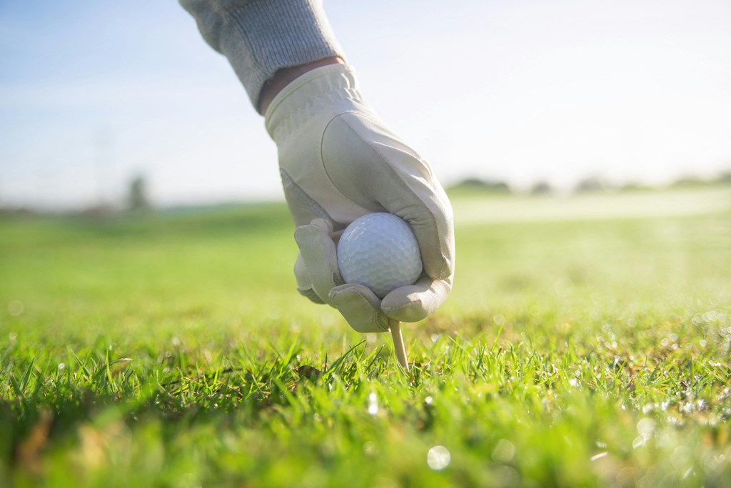 a person holding a golf ball on a tee